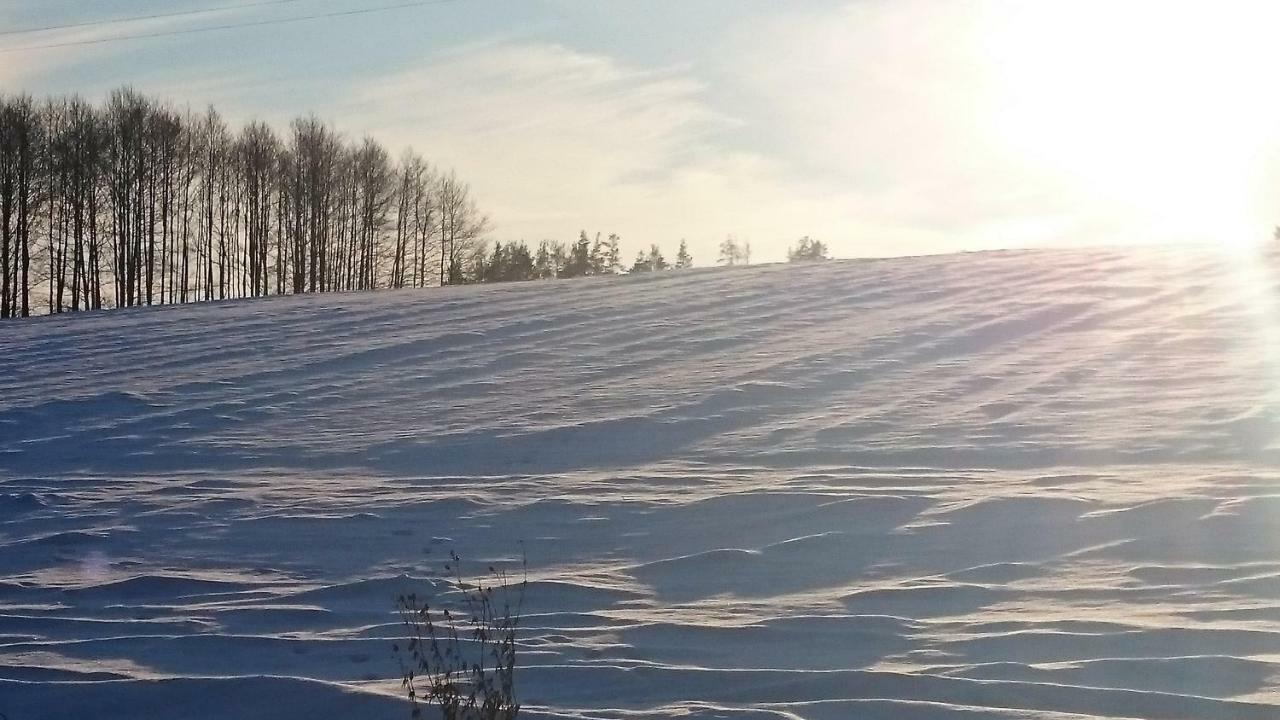 Willa Bobrowa Dolina Wojtostwo  المظهر الخارجي الصورة